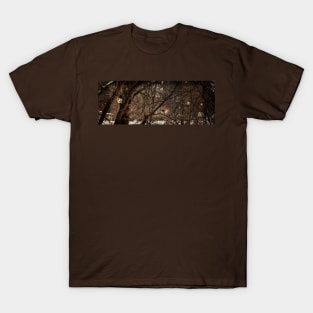 Garland of electric light bulbs T-Shirt